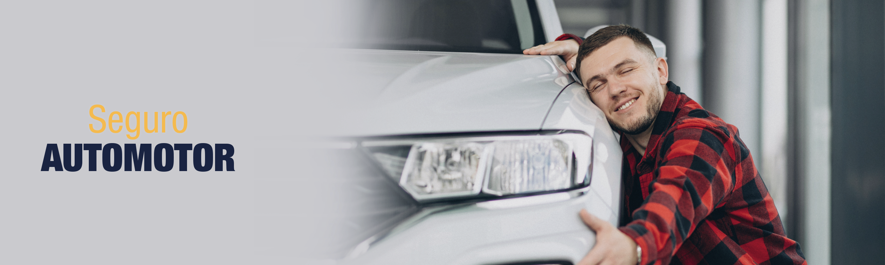 seguro_automotor